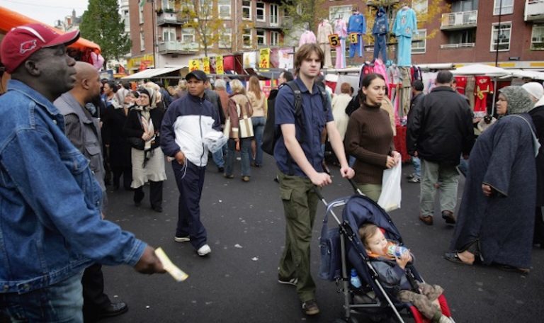 Alternatief voor ‘allochtoon’ lost niets op