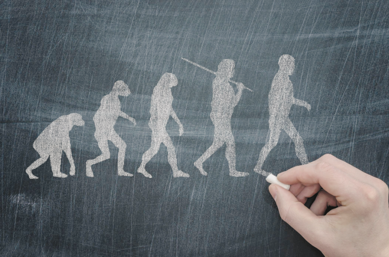 Wees consequent over evolutieleer