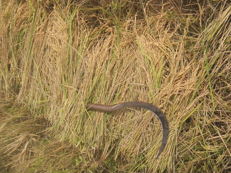 Leven onder de Rode Khmer