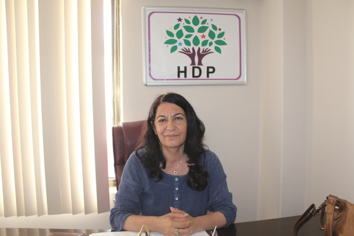 ZarifeAtik-HDP