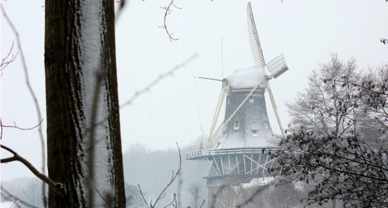 Nieuwkomers en de Nederlandse kou