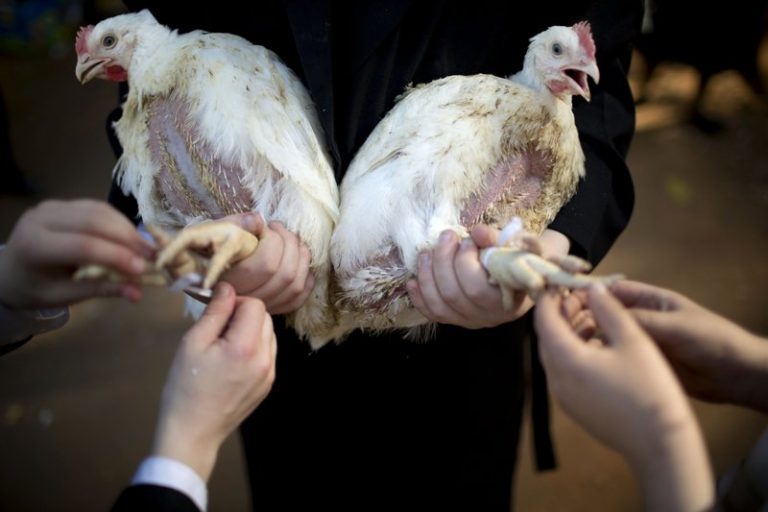 Halalvlees maak je niet door enkel een gebedje op te zeggen