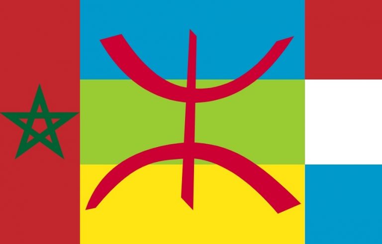De Nederlandse Rif-beweging: radicaler dan de Rif-activisten in Marokko?