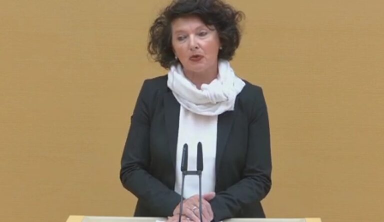 Duitsland: aangifte tegen Beierse AfD-kopstukken met coup-fantasieën