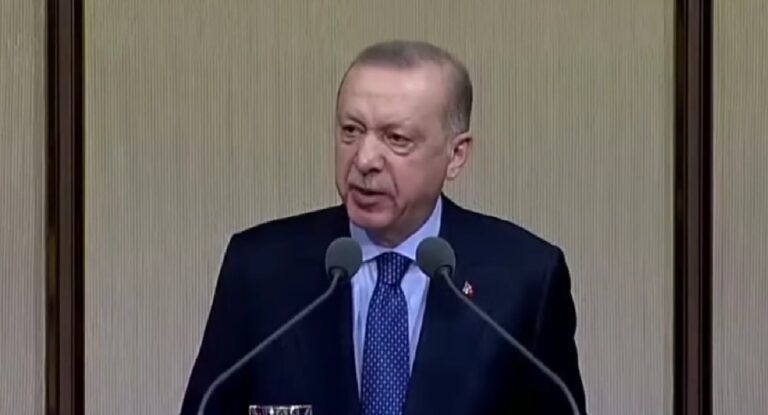 Erdogan tegen Turkse Europeanen: ‘Eén natie, één vlag, één thuisland’