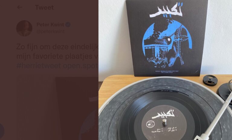 Denk hekelt SP-Kamerlid vanwege ‘islamofobe’ punkmuziek
