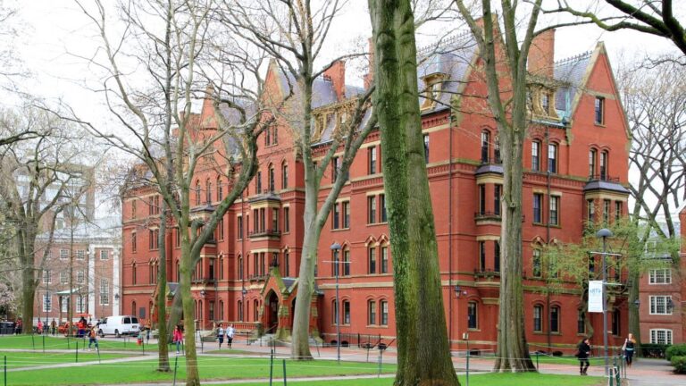 Harvard neemt omstreden IHRA-definitie aan