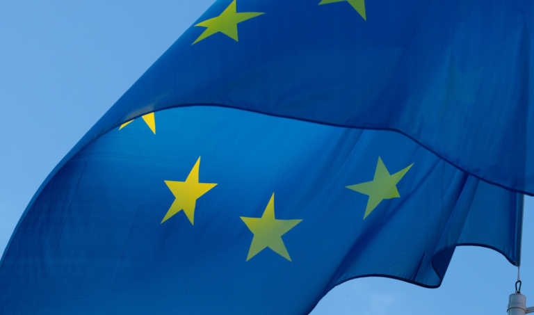 Geen Roma en Sinti in Europees Parlement