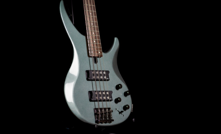 Surinaamse topbassist krijgt geen visum voor optreden in Nederland