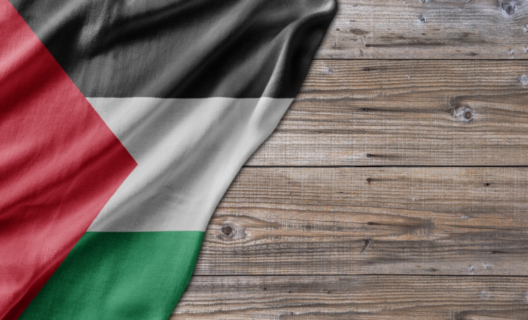Nijmeegse politie pakt pro-Palestijnse stoepkrijtactivisten op