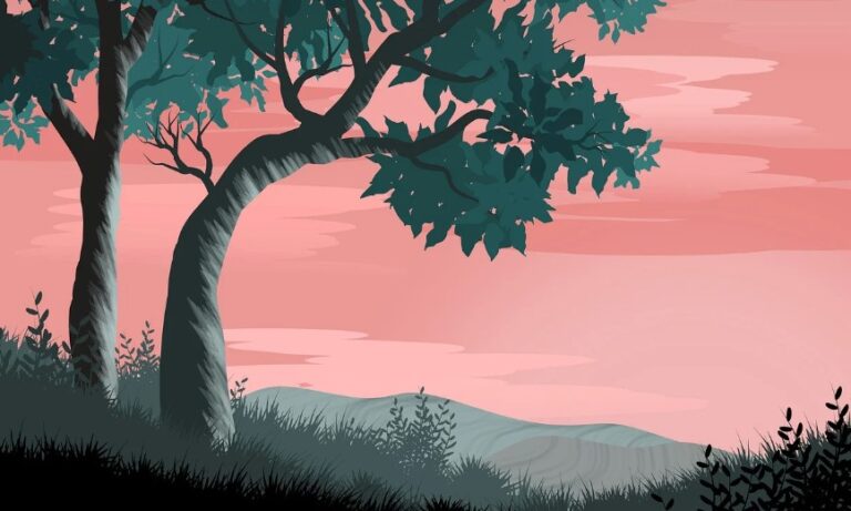 Let op senioren die in bomen klimmen
