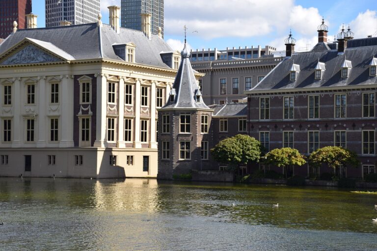 Goed dat het kabinet is gevallen? Dit vindt ons panel