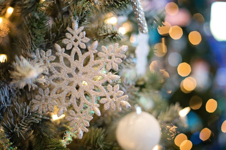 Samen kerst vieren – vorm van integratie of gewoon gezellig?