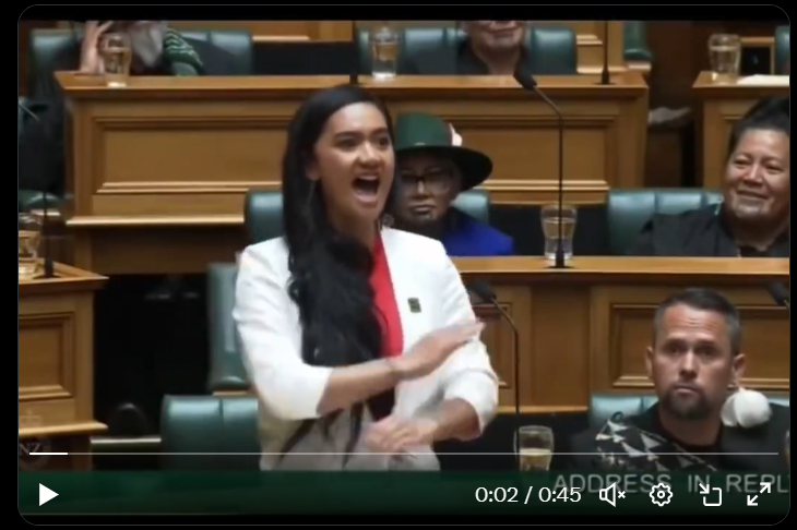 Indigenous song goes viral in New Zealand Parliament
