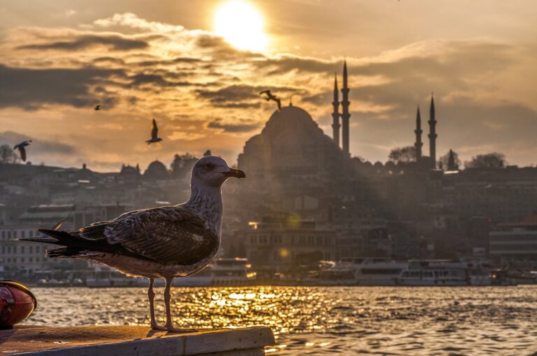 Turks OM arresteert seculiere bestuurders in Istanbul