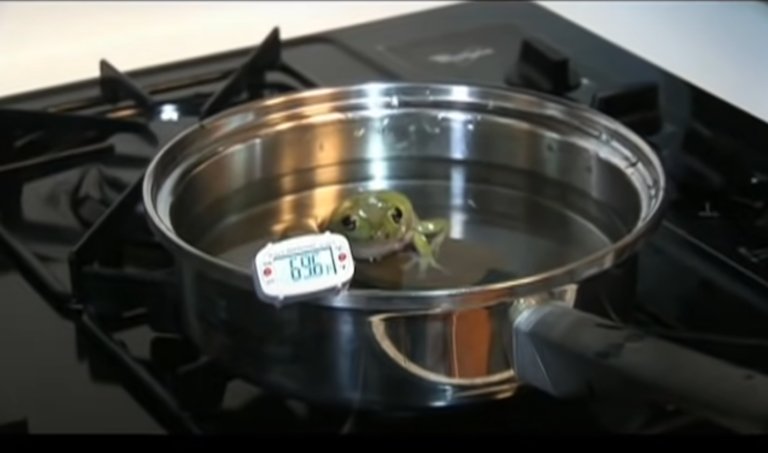 VVD bevindt zich in ‘boiling frog’ dynamiek, volgens kritische leden
