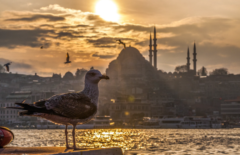 Dit zijn de drie beste boeken over Turkije