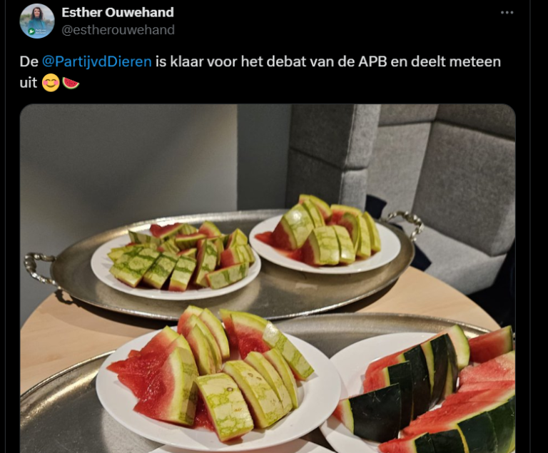 Dilan Yesilgöz ziet antisemitisme in watermeloen