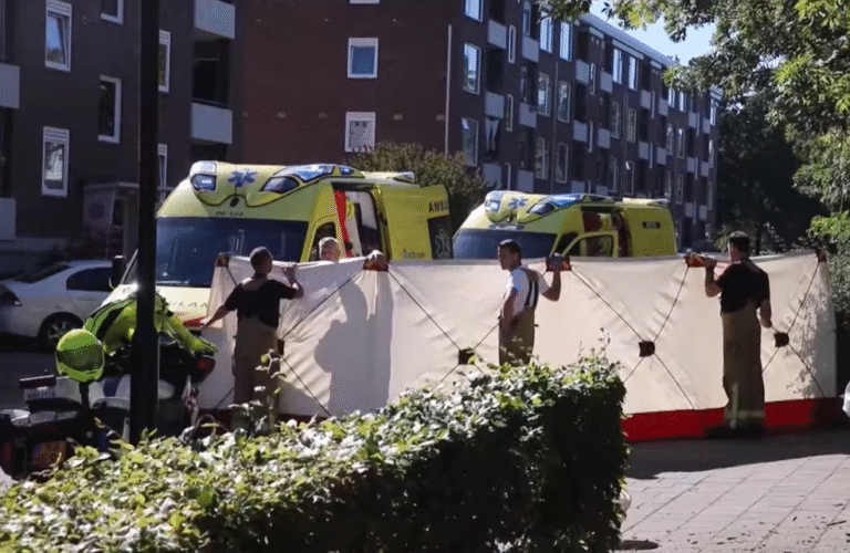 ‘Eer is geen importverschijnsel’