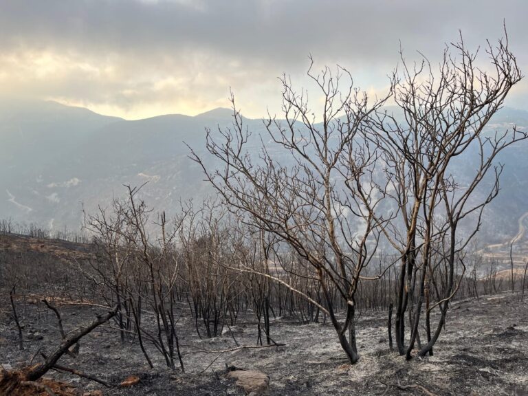 Natuurbranden in Syrië zetten de verhoudingen op scherp
