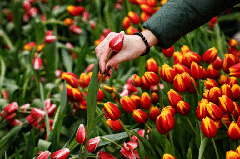 Baas over je eigen levenseinde? Dit vindt ons panel