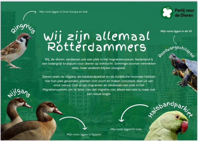 Rotterdamse PvdD wil aandacht voor migrerende planten en dieren
