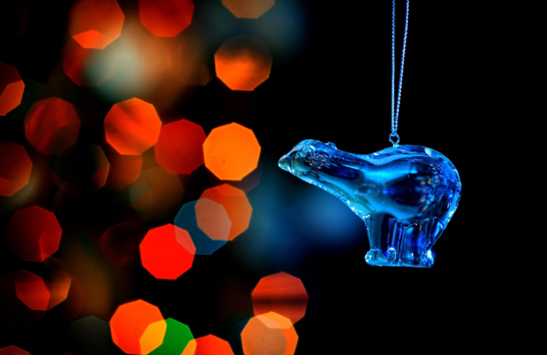 Migratie is geen bedreiging, maar een verrijking – net als de cranberry op ons kerstmenu