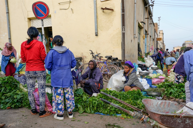 Utrecht neemt maatregelen tegen ‘lange arm van Eritrea’